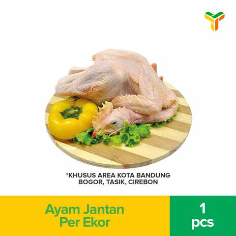 AYAM JANTAN PER EKOR