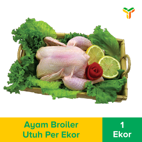 AYAM BROILER UTUH PER EKOR