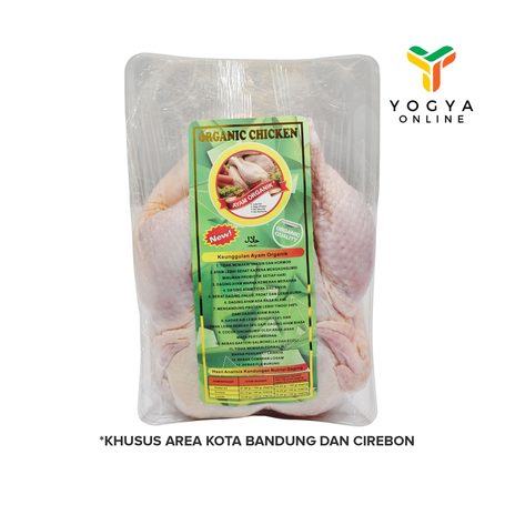 AYAM BROILER ORGANIK PER EKOR