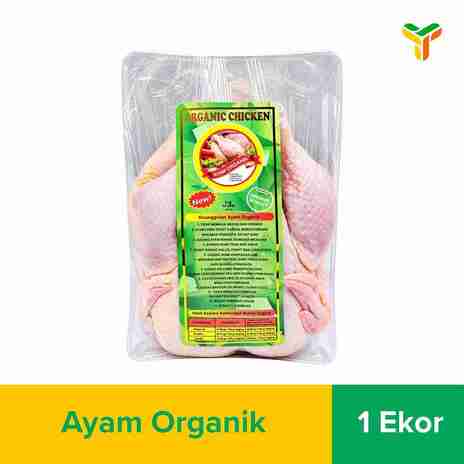 AYAM BROILER ORGANIK PER EKOR