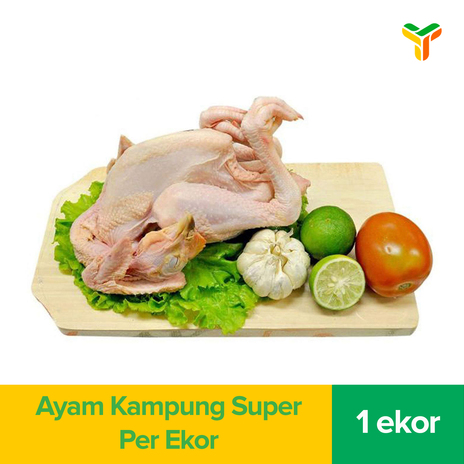 AYAM KAMPUNG PER EKOR