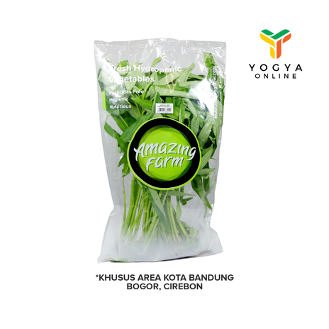 AMAZING FARM KANGKUNG AEROPONIK 250GR