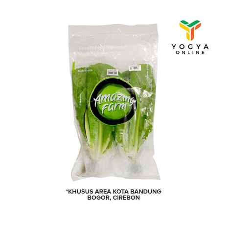 AMAZING FARM ROMAINE LETTUCE AEROPONIK 200GR