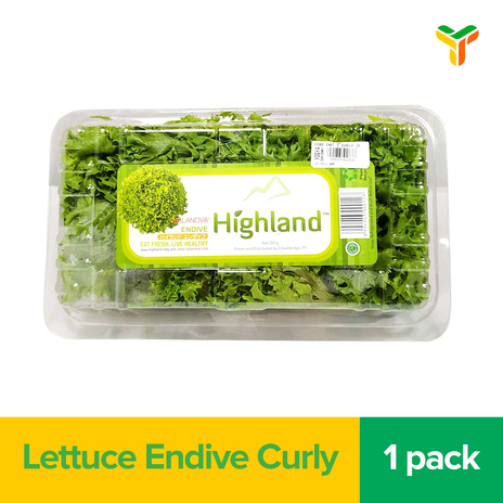 CIBADAK HIGHLAND LETTUCE ENDIVE CURLY 250GR