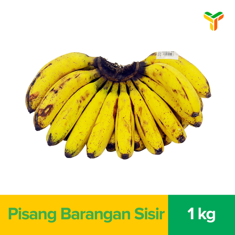 PISANG BARANGAN SISIR