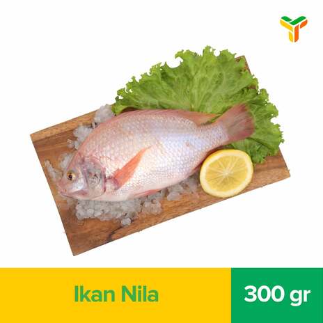 IKAN NILA HIDUP 300GR