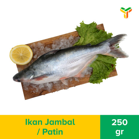 IKAN JAMBAL / PATIN 350GR