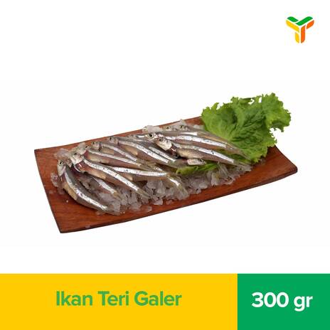 IKAN TERI GALER 300GR