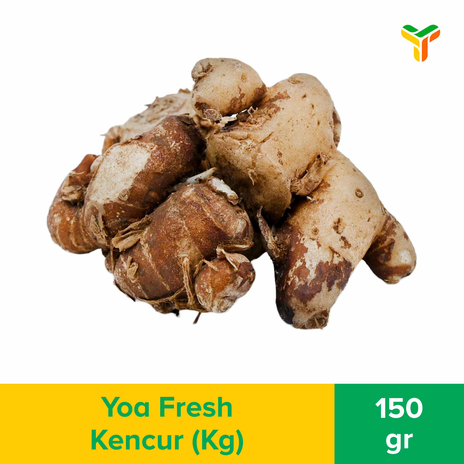 KENCUR 150GR