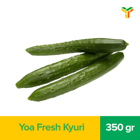 KYURI 350GR