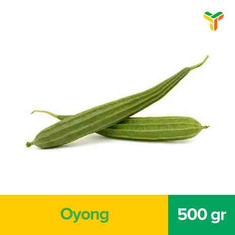 OYONG 600GR