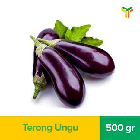 TERONG UNGU 600GR