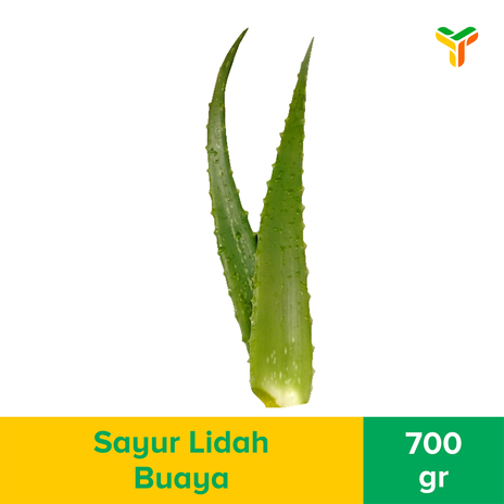 LIDAH BUAYA 700GR