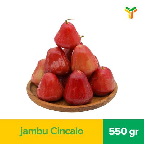 JAMBU CINCALO 550GR