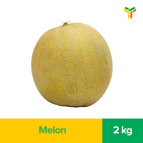 MELON 2000GR