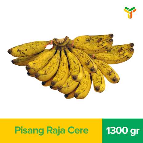 PISANG RAJA CERE 1300GR