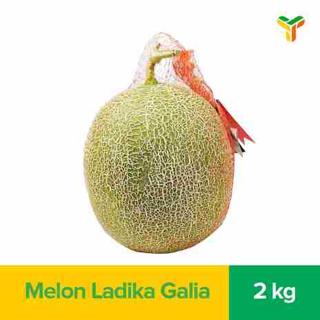 MELON LADIKA GALIA 2000GR