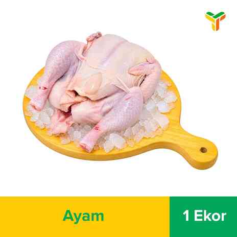 AYAM BROILER UTUH PROMO PER EKOR