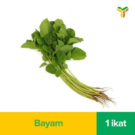YOA FRESH BAYAM HIJAU IKAT