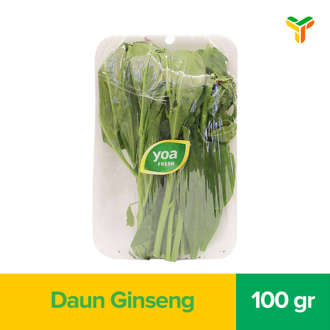 YOA FRESH DAUN GINSENG 100GR