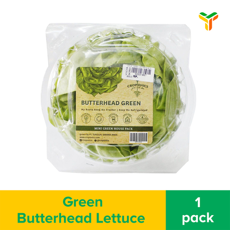 CROPONICS GREEN BUTTERHEAD LETTUCE 250GR