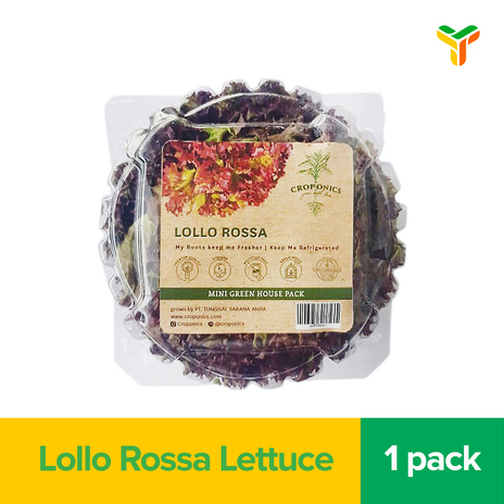 CROPONICS LOLLO ROSSA LETTUCE 250GR