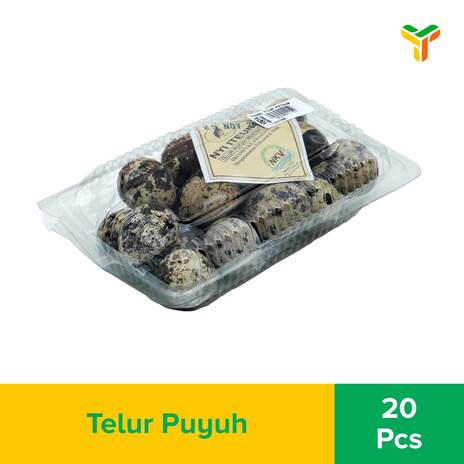 ITEUNG TELUR PUYUH 20