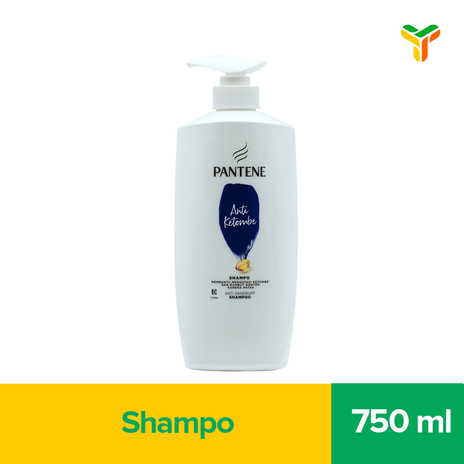 PANTENE SH 2IN1 ANTI KETOMBE 750ML_1C6P