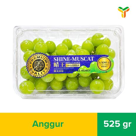 ANGGUR GREEN SEEDLESS SHINE MUSCAT PACK C10
