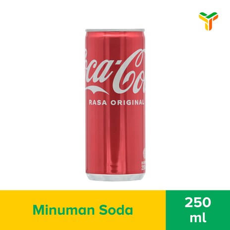 1 KARTON COCA COLA SLIM CAN 250ML