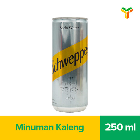 1 KARTON SCHWEPPES SODA WATER CAN 250ML
