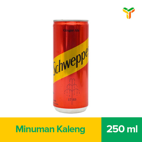 1 KARTON SCHWEPPES GINGER ALE CAN 250ML
