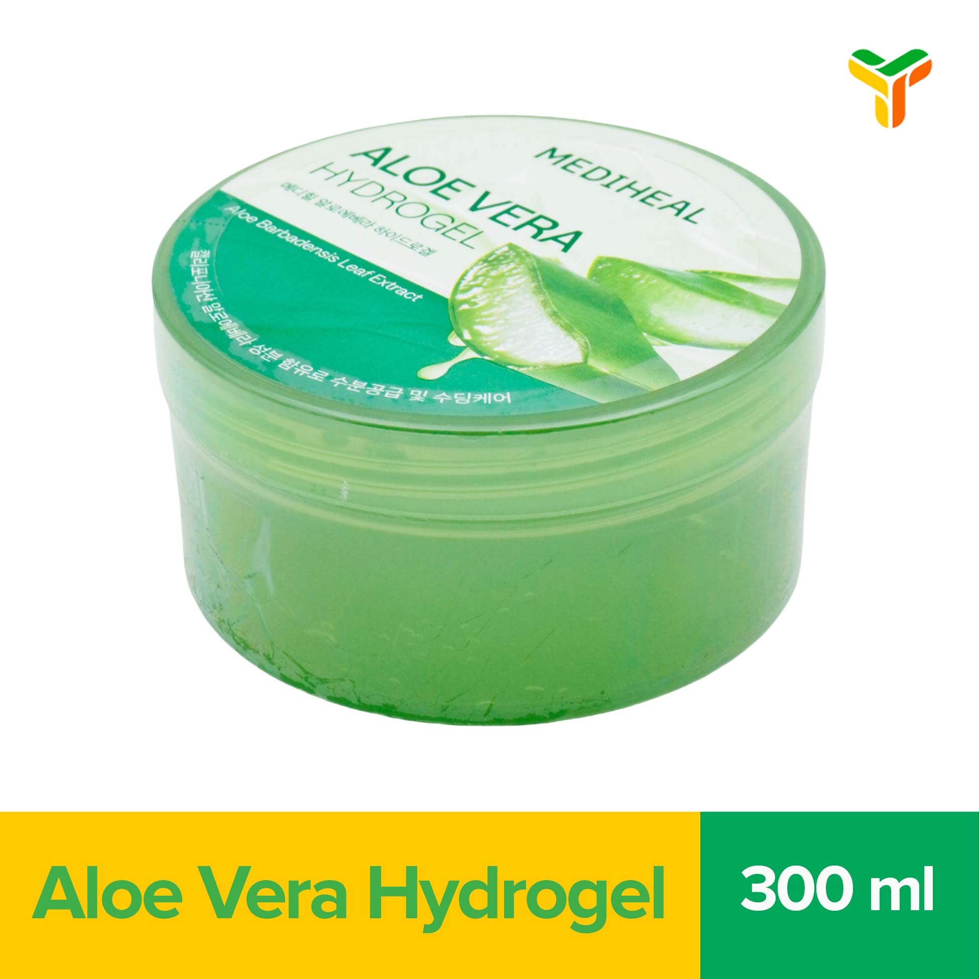 aloe vera winterhart kaufen Aloe Vera - Barbadensis miller